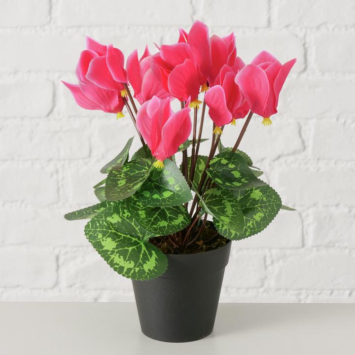 Produktbild Boltze Home Topfpflanze (27 cm)
