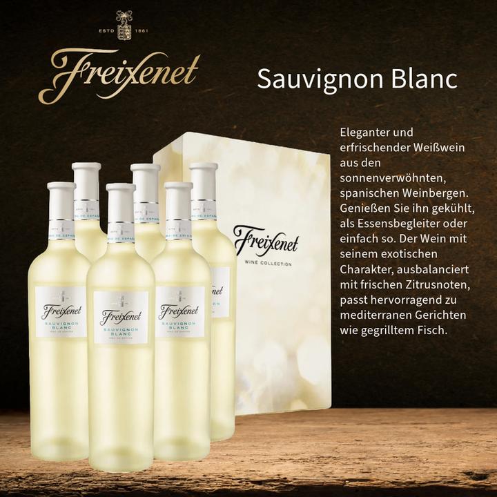 Image du produit Freixenet Sauvignon blanc (1 x 75 cl, 2021)