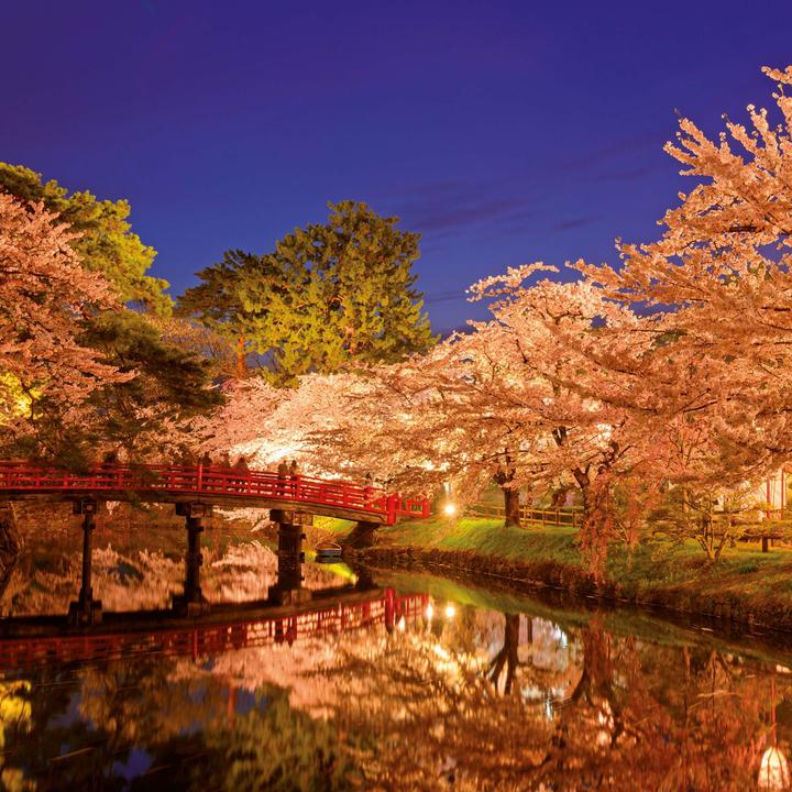 Actual product image Inside Japan 2026 (30 x 30 cm)