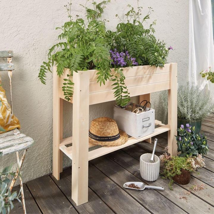 Immagine prodotto Wagner System Contenitore per piante