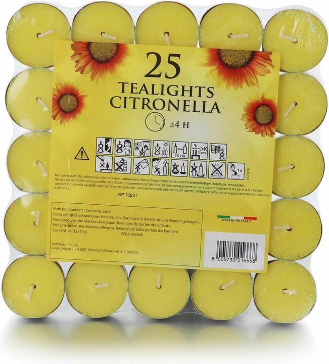 Balthasar Luci da tè alla citronella (25 pz.)