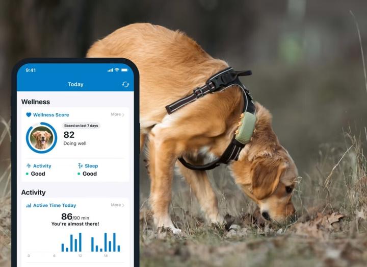 Produktbild Tractive DOG XL GPS Tracker für Hunde (Hund, Allgemein)