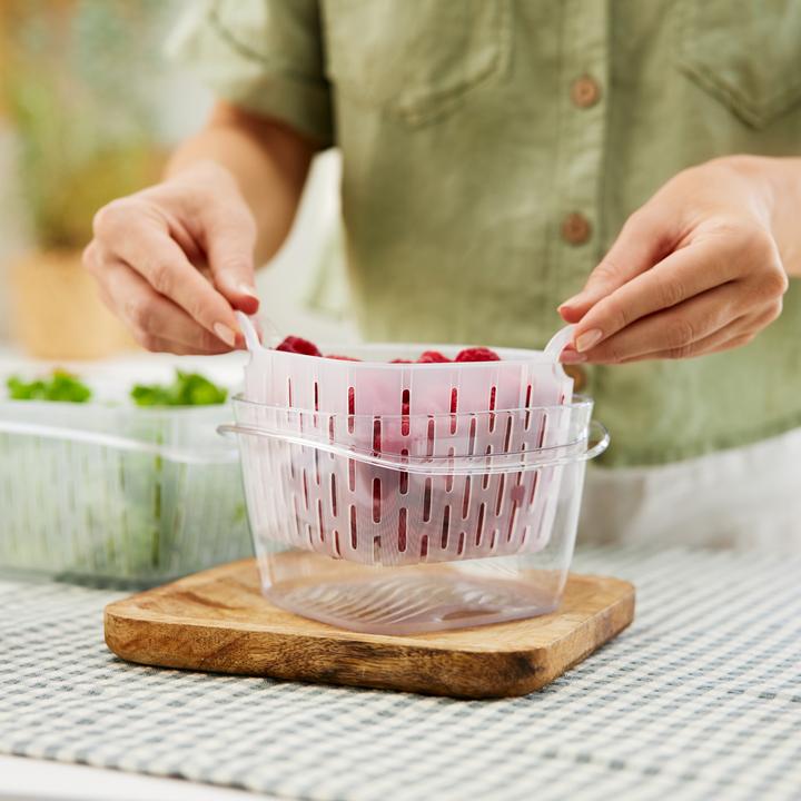 Produktbild Rotho Dynamic Box 1,6 l FRESH (1.60 l)