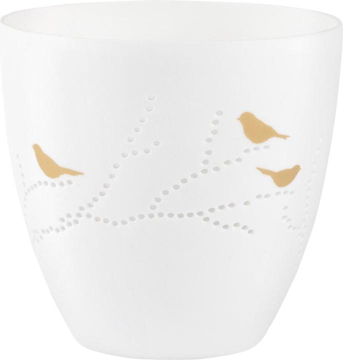 Räder Wielen Thuis Poëzie Licht Vogels