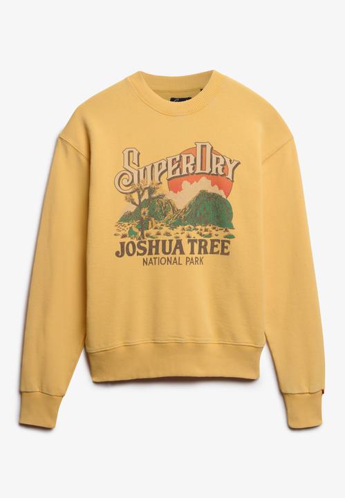 Actual product image Superdry Souvenir Graphic Loose Crew (M)