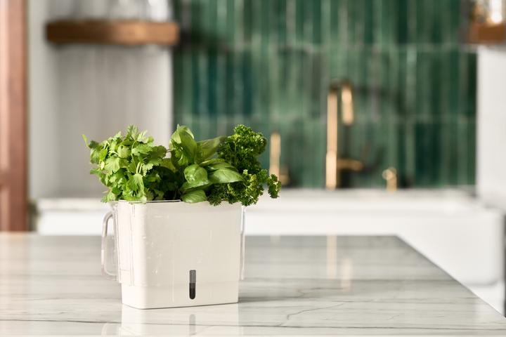 Produktbild Cole & Mason Schnittkräuter Box (0.38 l)