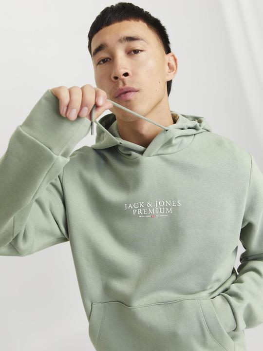 Produktbild Jack & Jones Jprbluarchie Sweat Hood Noos (XL)