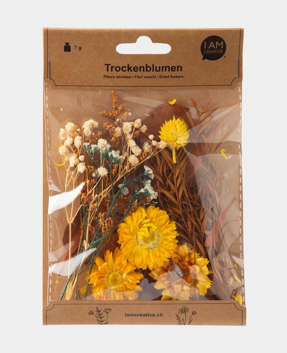 Immagine prodotto I Am Creative Set di fiori secchi (Fiori secchi)