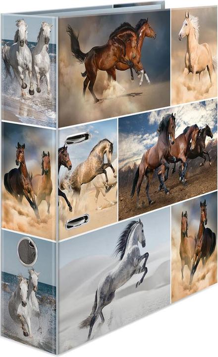 Actual product image HERMA A4 folder motif (A4, 70 mm, 1 pcs.)