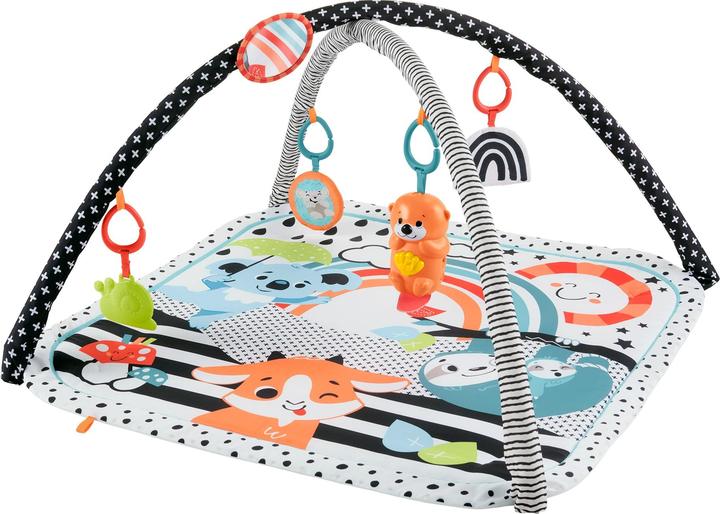 Fisher-Price JMN72