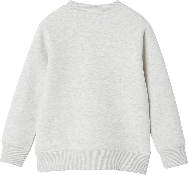 Produktbild Vertbaudet Jungen Sweatshirt mit Print, Recycling-Polyester Basic (158)