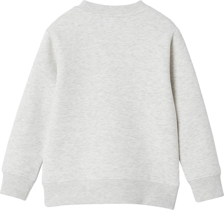 Actual product image Vertbaudet Boys' sweatshirt with print, recycled polyester Basic (158)