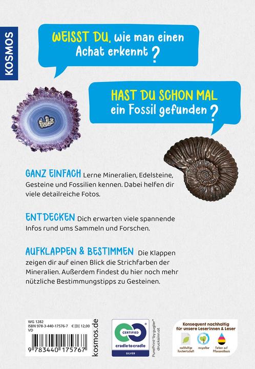 Actual product image Kosmos Welcher Stein ist das? Kindernaturführer (German, Rupert Hochleitner, 2023)