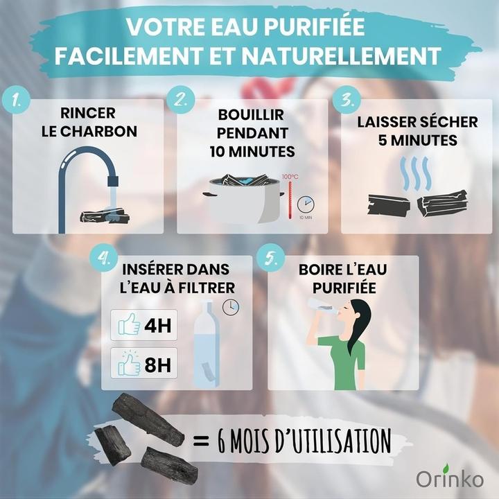 Actual product image Orinko Japanese Binchotan activated carbon Wakayama