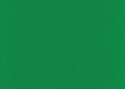 Produktbild EberhardFaber Temperafarben Efacolor, 1000 ml, Permanentgrün (1000 ml)