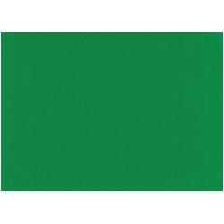 Thumbnail - EberhardFaber, Künstlerfarbe + Bastelfarbe, Temperafarben Efacolor, 1000 ml, Permanentgrün (Permanentgrün, 1000 ml)