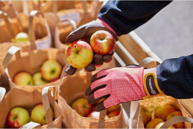 Immagine prodotto Gebol Lonicera (8)