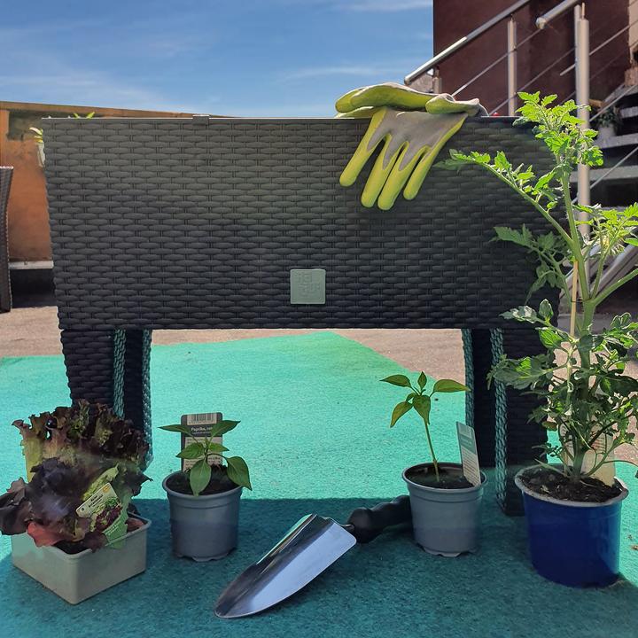 Actual product image Deuba Lit surélevé