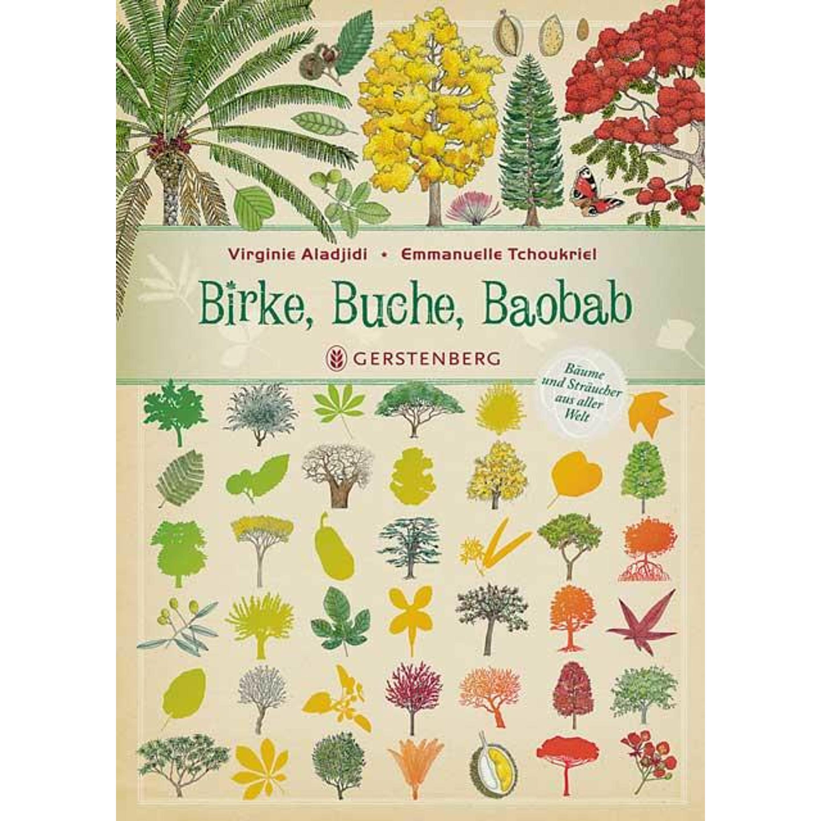 Birke, Buche, Baobab, Kinderbücher von Virginie Aladjidi