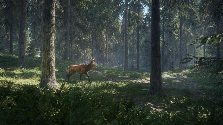 Produktbild THQ PS4 The Hunter Call of the Wild (PS4, FR, EN)