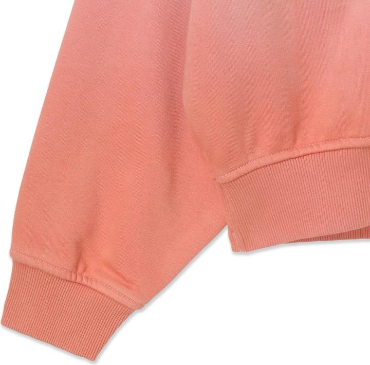 Immagine prodotto Guess Pullover Damen (XL)
