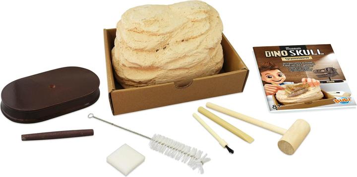 Actual product image Buki Experiment kit dinosaur skull - Tyrannosaurus