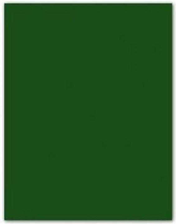 Produktbild Iris Pappe Dunkelgrün 50 x 65 cm (185 g/m², 25x)