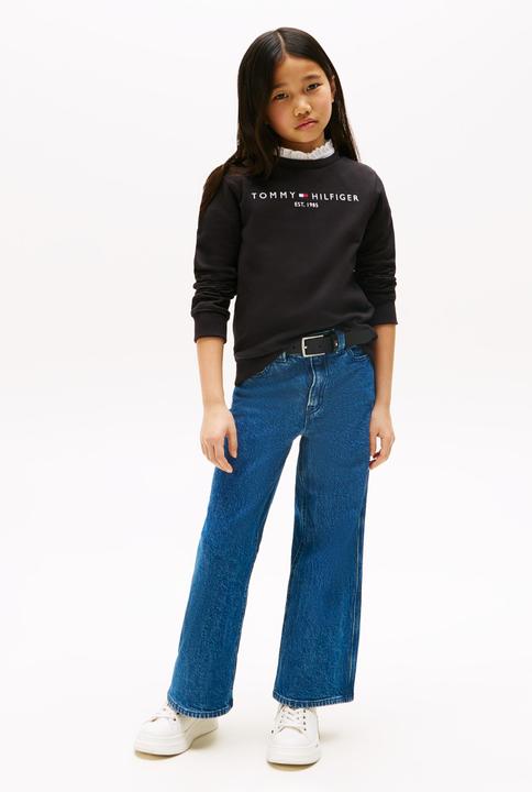 Immagine prodotto Tommy Hilfiger Felpa Essenziale (116)