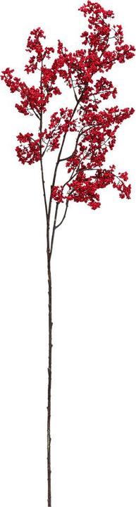 Image du produit pfister Nostalgia