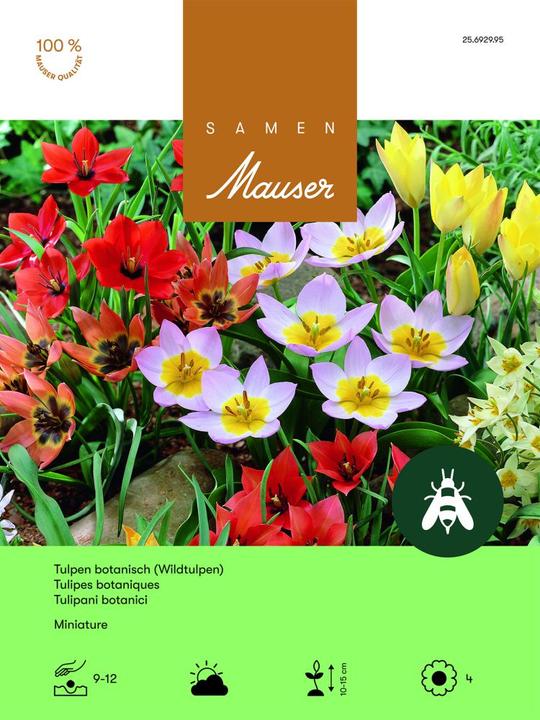 Produktbild Samen Mauser Miniaturmischung (Blumenzwiebeln)