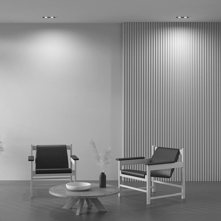 Image du produit Maytoni Metal Modern Downlight, luminaire encastré 2x GU10 orientable (GU10)