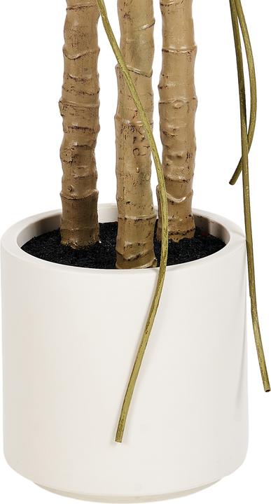 Immagine prodotto Beliani Monstera Plant (221 cm)