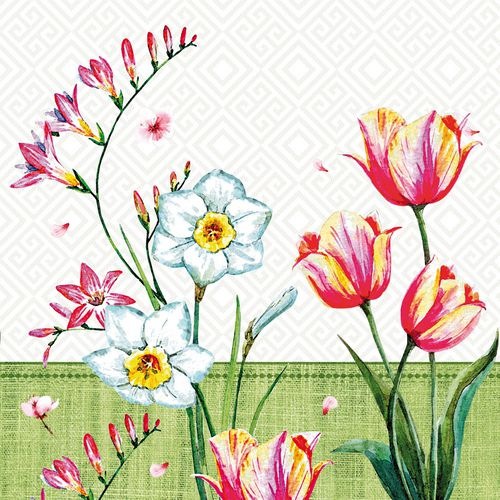 Produktbild Papstar Florentina (100 x, 33 x 33 cm)