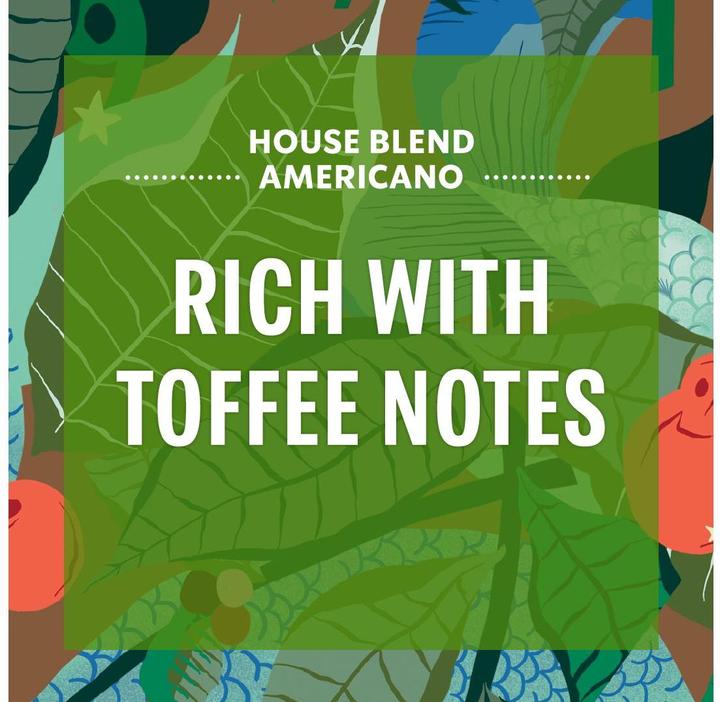 Actual product image Starbucks House Blend Grande by Nescafé Dolce Gusto Medium Roast (12 x Port.)