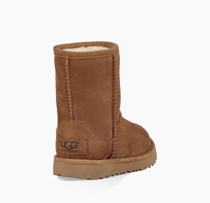 Actual product image Ugg Classic Short II (26)