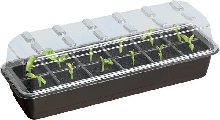 Garland Saatgut Startert-Set