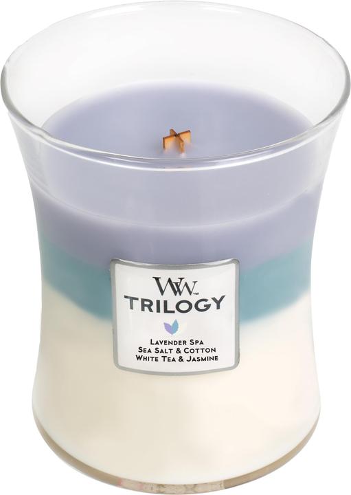 Actual product image WoodWick Trilogie (275 g)