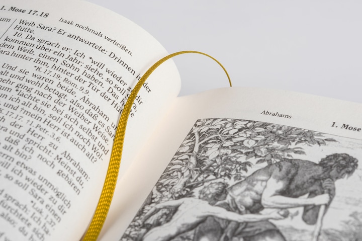 Produktbild Die Bibel - Altes und Neues Testament (Deutsch, Martin Luther, Julius Schnorr von Carolsfeld, 2024)