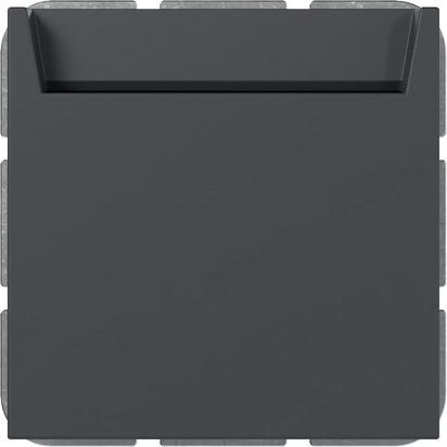 Gira Hotel Card Wechsler, Taster + Schalter, Grau