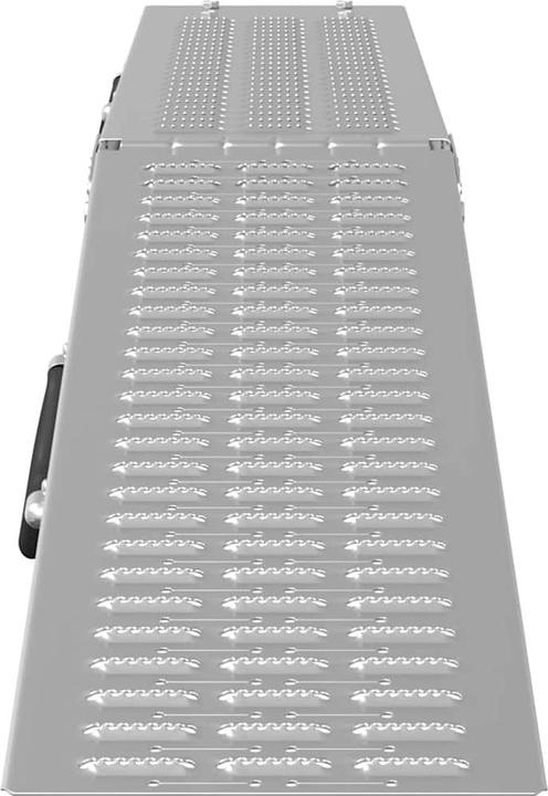 Image du produit vidaXL Laderampe