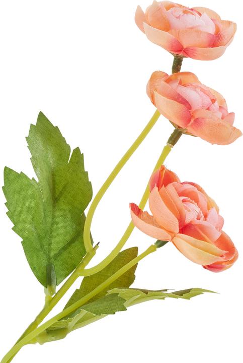 Immagine prodotto DPI Ranunkel-Pick mit 3 Blüten