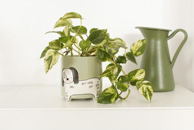 Produktbild Winkee Tierischer Blumentopf Hund