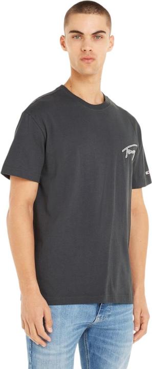 Actual product image Tommy Hilfiger TJM CLSC Signature T DM0DM16240 Pub L (L)