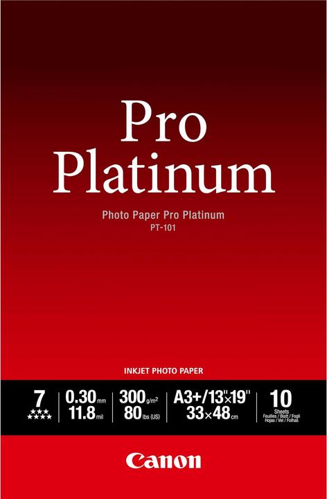 Canon PT-101 Pro Platinum (300 g/m², A3+, 10 x)