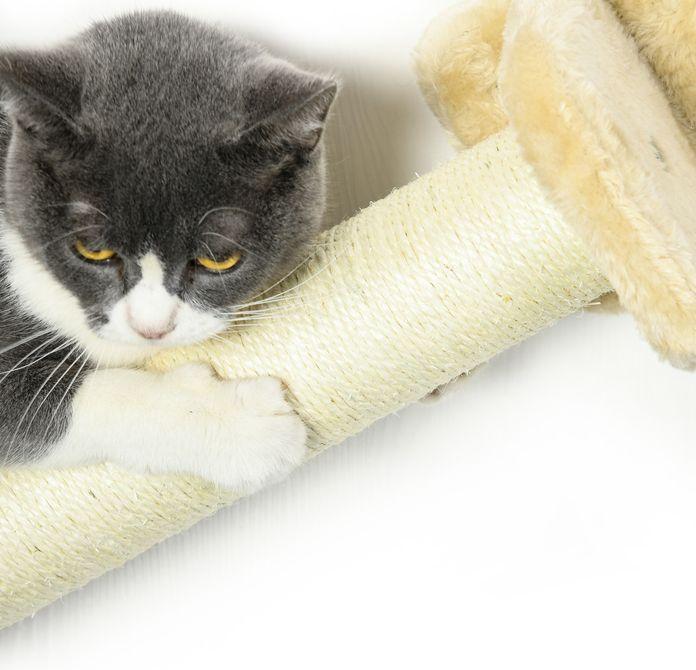 Immagine prodotto Swisshandel24 Parete di arrampicata per gatti 5 pezzi con scale, 2 tiragraffi, piattaforme, amaca, peluche (Beige)