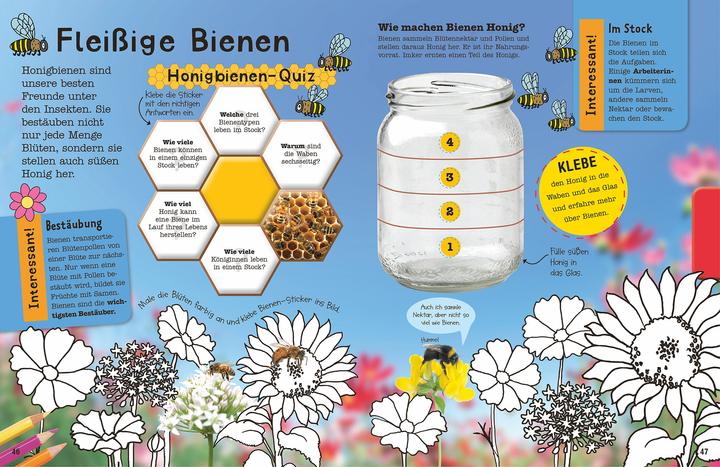 Produktbild Das Mach-Malbuch Insekten