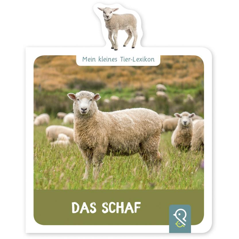 Thumbnail - Das Schaf, Schulbücher von Hannah Kastenhuber