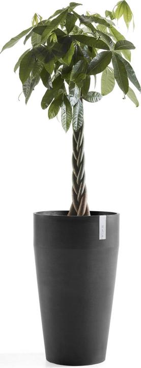 Actual product image Ecopots Sankara