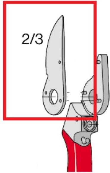 Actual product image Felco Spare blade