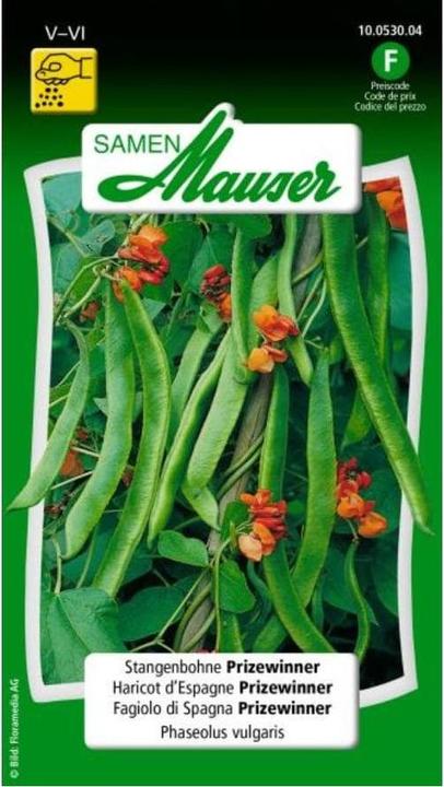 Actual product image Samen Mauser Runner bean Prizewinner (Vegetable seeds)